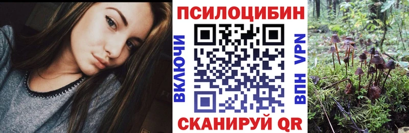Галлюциногенные грибы прущие грибы  Каспийск 