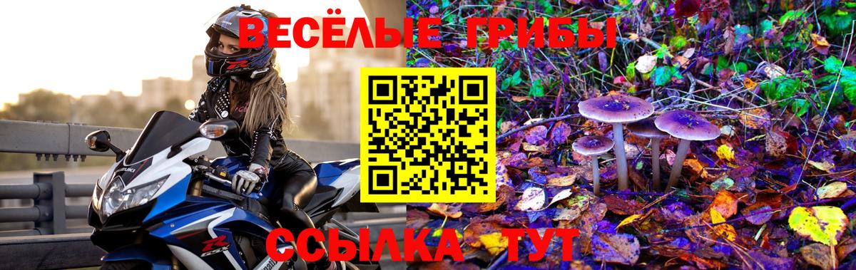 Галлюциногенные грибы Cubensis Каспийск